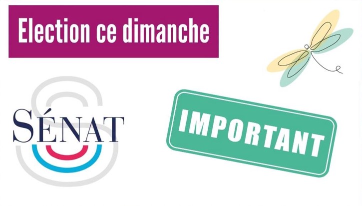  Ce dimanche : Election des sénatrices et sénateurs d'Ille-et-Vilaine 